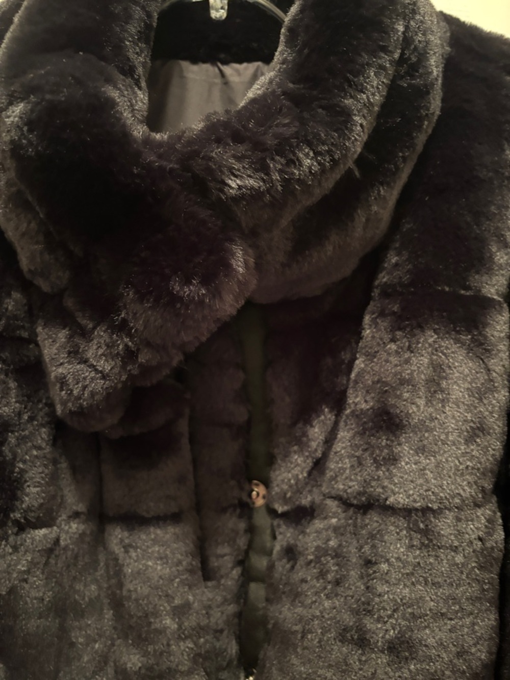 Plush Black Teddy Faux-Fur Short Jacket - Picture 2 of 5
